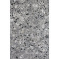 Nature Stone Austin Tx Bianco Antico Homogeneous Granite Tile